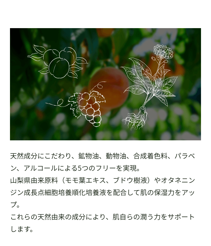 天然成分にこだわり、鉱物油、動物油、合成着色料、パラベン、アルコールによる5つのフリーを実現。山梨県由来原料（モモ葉エキス、ブドウ樹液）やオタネニンジン成長点細胞培養順化培養液を配合して肌の保湿力をアップ。これらの天然由来の成分により、肌自らの潤う力をサポートします。