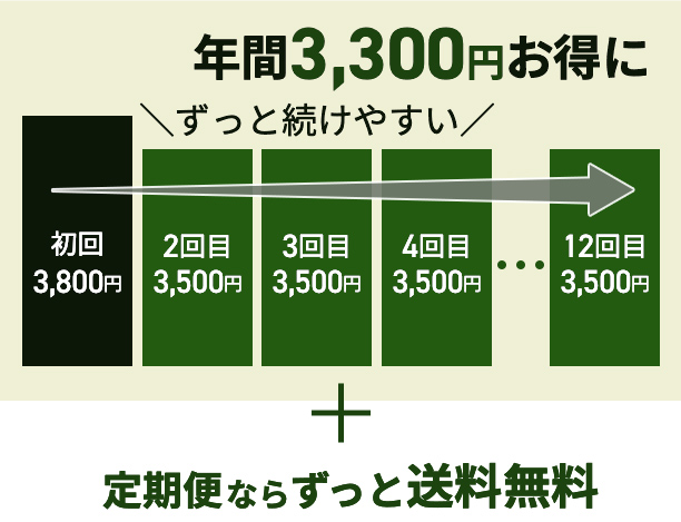 年間3,300円お得に ＼ずっと続けやすい／ 初回3,800円 2回目3,500円 3回目3,500円 4回目3,500円・・・12回目3,500円 ＋ 定期便ならずっと送料無料